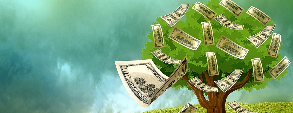 money tree